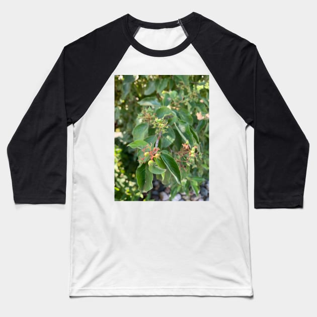 Plant Baseball T-Shirt by smirkingdesigns